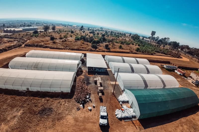 Drone view over white plastic tunnels, a shade-net house and a pickup loading supplies