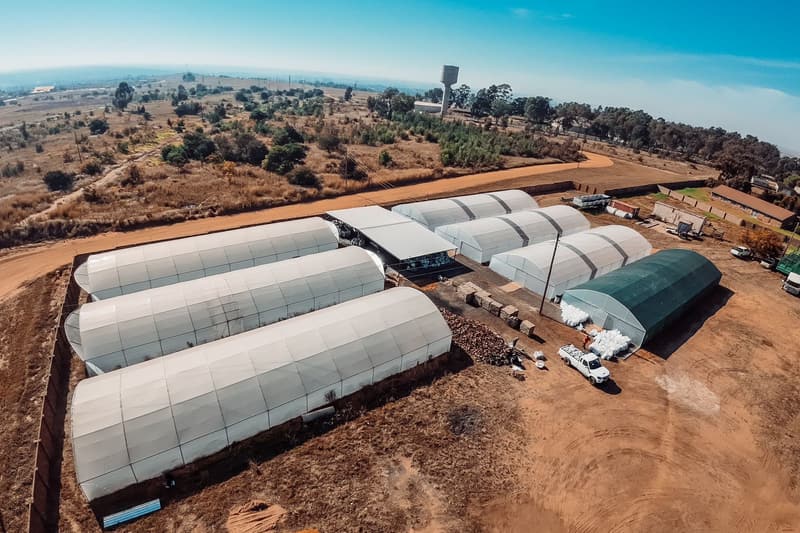 Aerial view of a farm with rows of white tunnels and a dark green net house