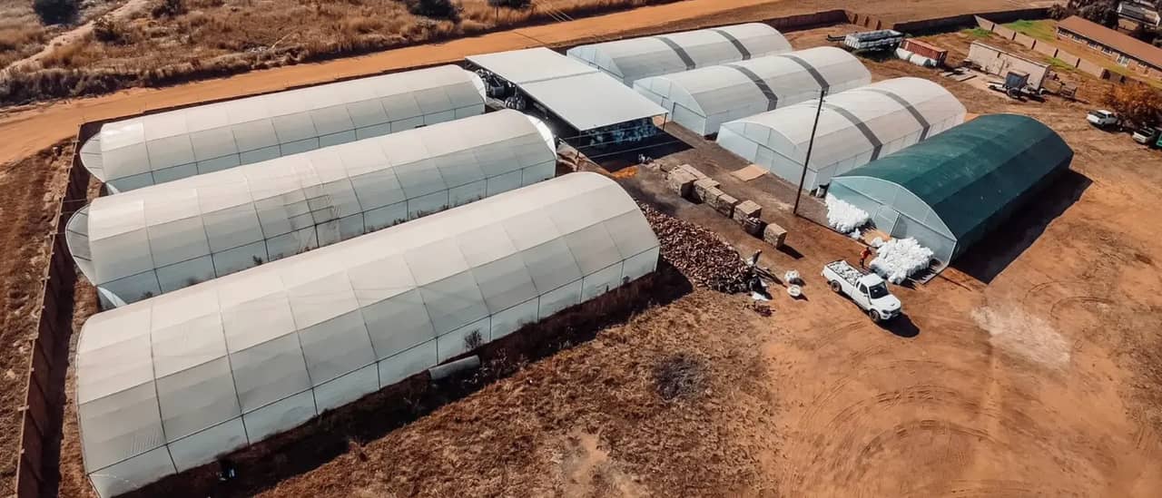 Aerial view of rows of white tunnels on red soil