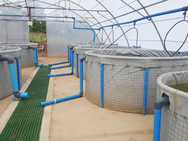 Round fish tanks with blue pipework inside a tunnel