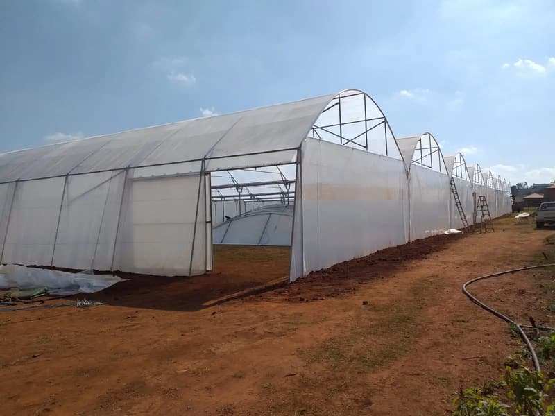 Several tunnel bays joined side by side into one multispan structure