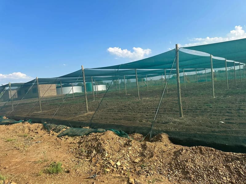 A green shade-net house on poles over prepared ground