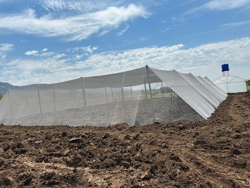 White shade-net house on prepared ground, with a tunnel and water tank in the distance