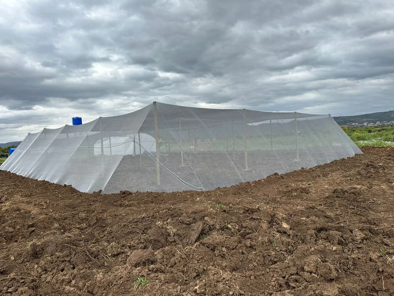 A white net house stretched over poles on a cleared field