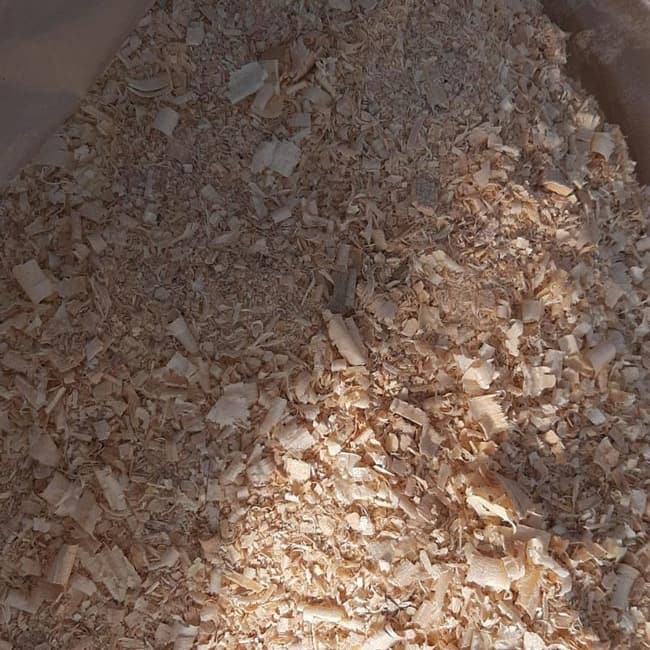 Open bag of pine wood shavings