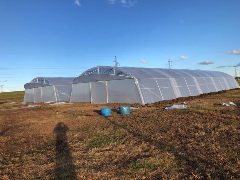Two long plastic-covered tunnels on open grassland