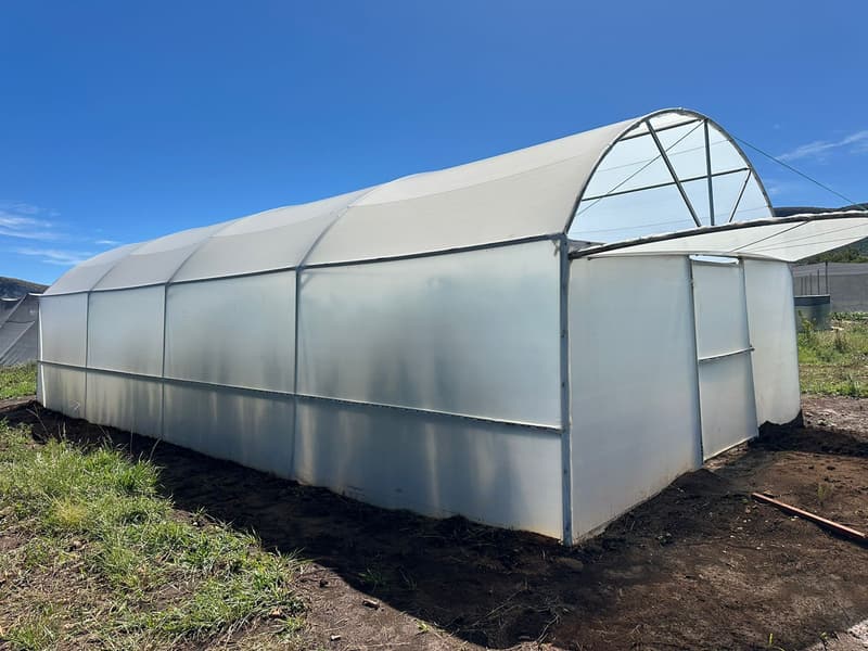 A single white polythene tunnel with a steel frame on freshly prepared ground