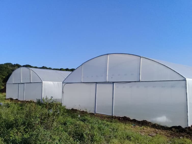 Two plastic tunnels side by side on a grassy slope under a clear sky