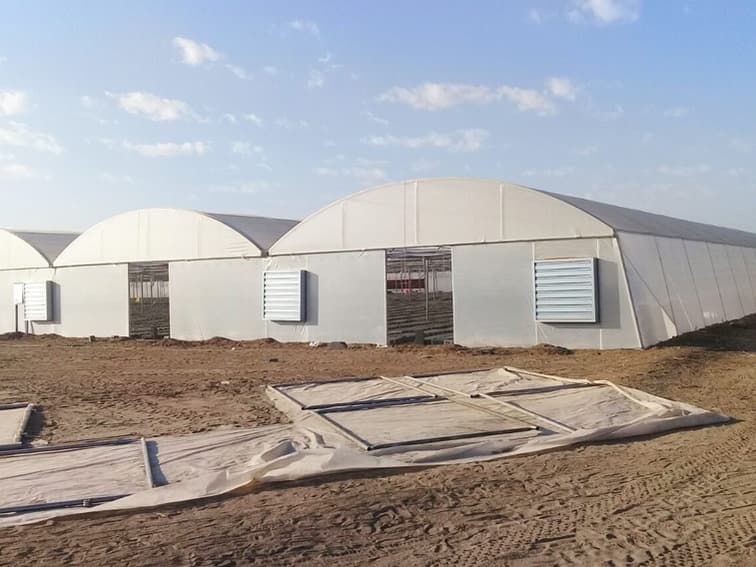 Joined tunnels with extractor fans in the gable walls and end panels laid out on sand