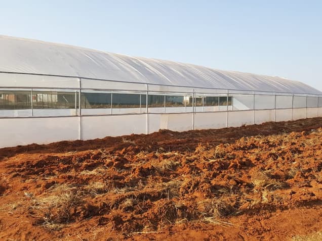 Long tunnel with roll-up side panels opened along its length, beside a ploughed field
