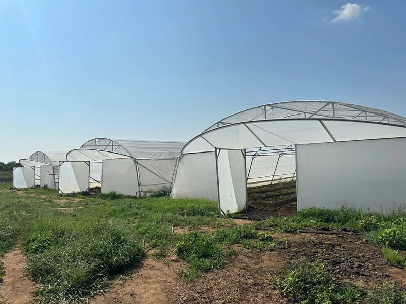 Tunnels with their gable ventilation flaps open