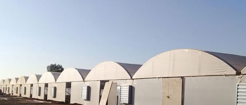 Long row of joined tunnels with extractor fans in the gable walls