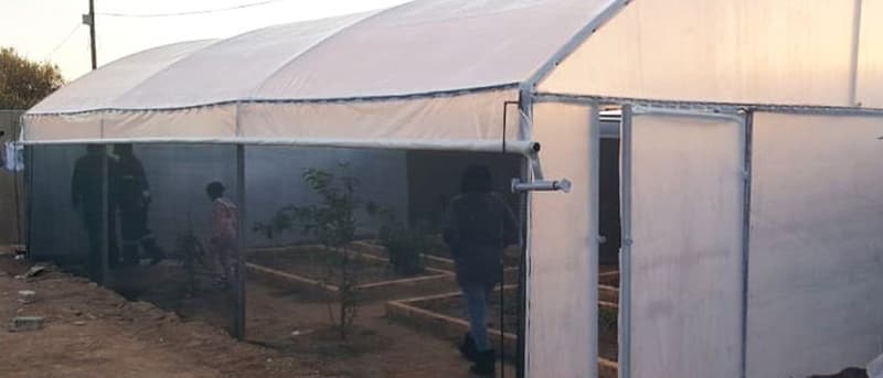 A roll-up tunnel with its side plastic rolled up for ventilation